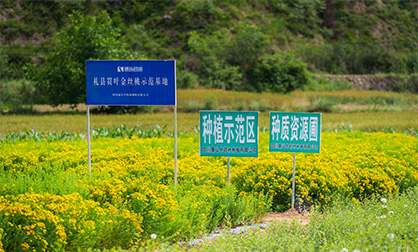 内部会员一码资料