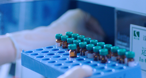 内部会员一码资料