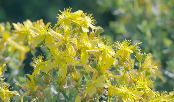 内部会员一码资料