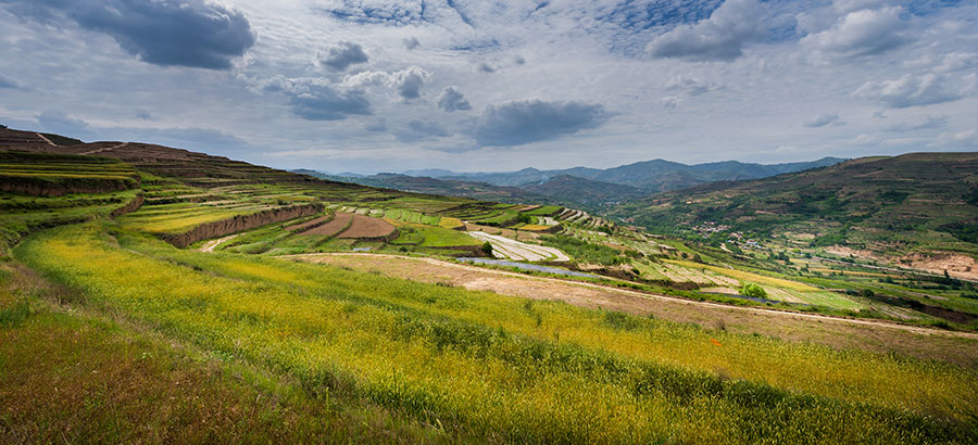 内部会员一码资料
