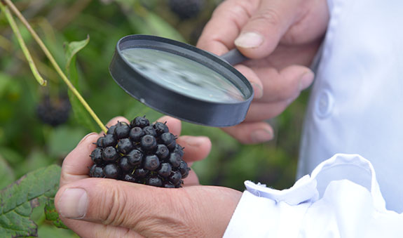 内部会员一码资料