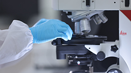 内部会员一码资料