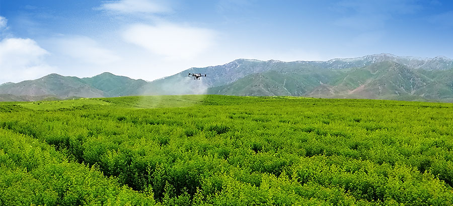 内部会员一码资料