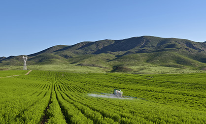 内部会员一码资料