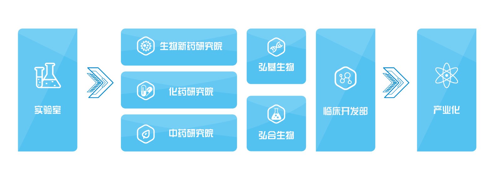 内部会员一码资料
